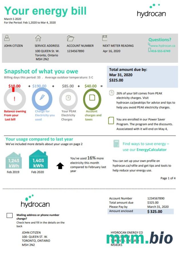 Szablon rachunku za energię elektryczną USA Ontario Hydrocan w formacie Word i PDF